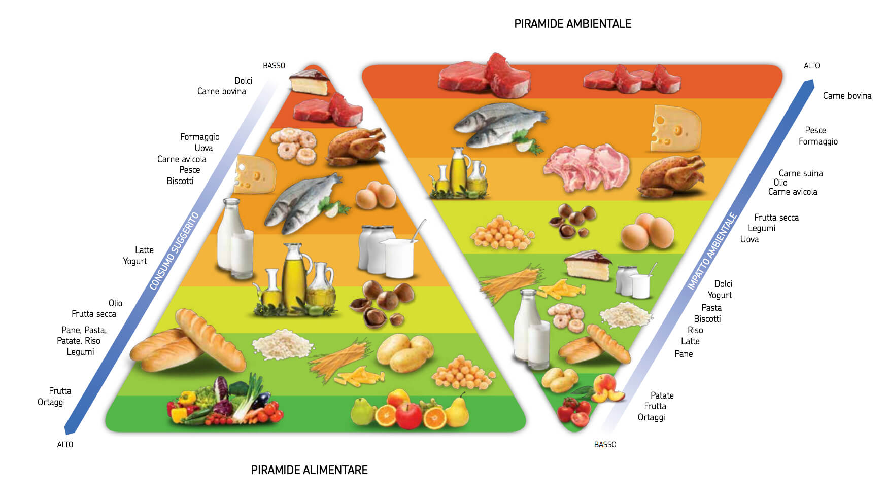 La piramide della nutrizione: guida completa - Manipulus Mosca